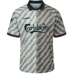hummel, Unisex, Sportshirt, hmlWORLD 26 SOCCER JERSEY (XL), Grau