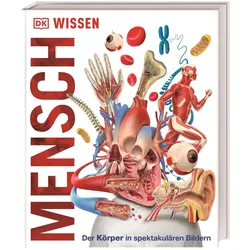 Wissen - Mensch, Kinderbücher von DK Verlag - Kids
