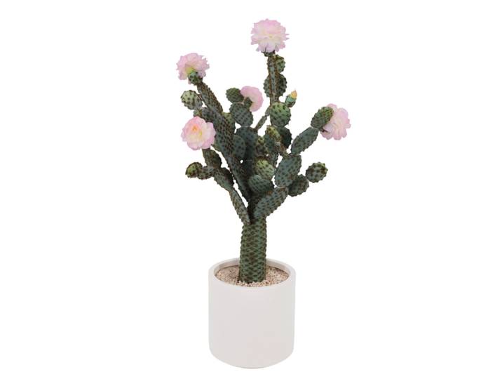 Grand cactus artificiel, plante artificielle réaliste, faux cactus, cactus du désert artificiels en pot avec pot de fleurs pour la décoration de la maison et du bureau