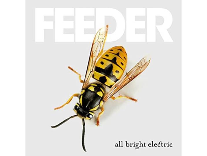 Feeder - All Bright Electric