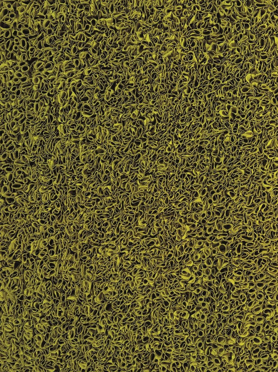 Ligne Pure Influence Vloerkleed Groen 200 x 300 cm