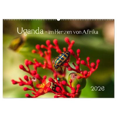 Uganda - im Herzen von Afrika (Wandkalender 2026 DIN A2 quer), CALVENDO Monatskalender