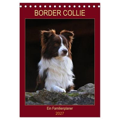 Border Collie - Ein Familienplaner (Tischkalender 2027 DIN A5 hoch), CALVENDO Monatskalender