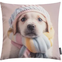 Kissen HUND (LBH 45x45x8 cm) - bunt - LBH 45x45x8 cm