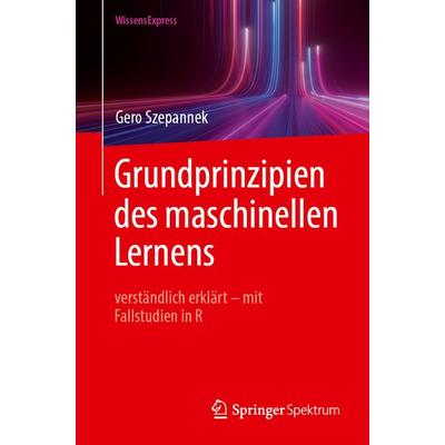 Grundprinzipien des maschinellen Lernens, Taschenbuch von Gero Szepannek, Springer Berlin, 978-3-662-73199-4