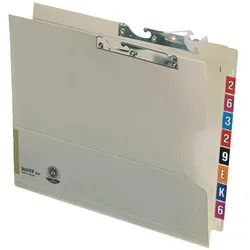 Leitz, Mappe, Pendelmappen Orgacolor 320g charmois Karton 25 St./Pack. (A4, 1x)