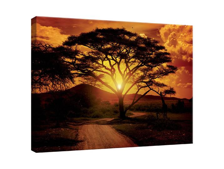 Wandbild 65x97 Sunset Savanna