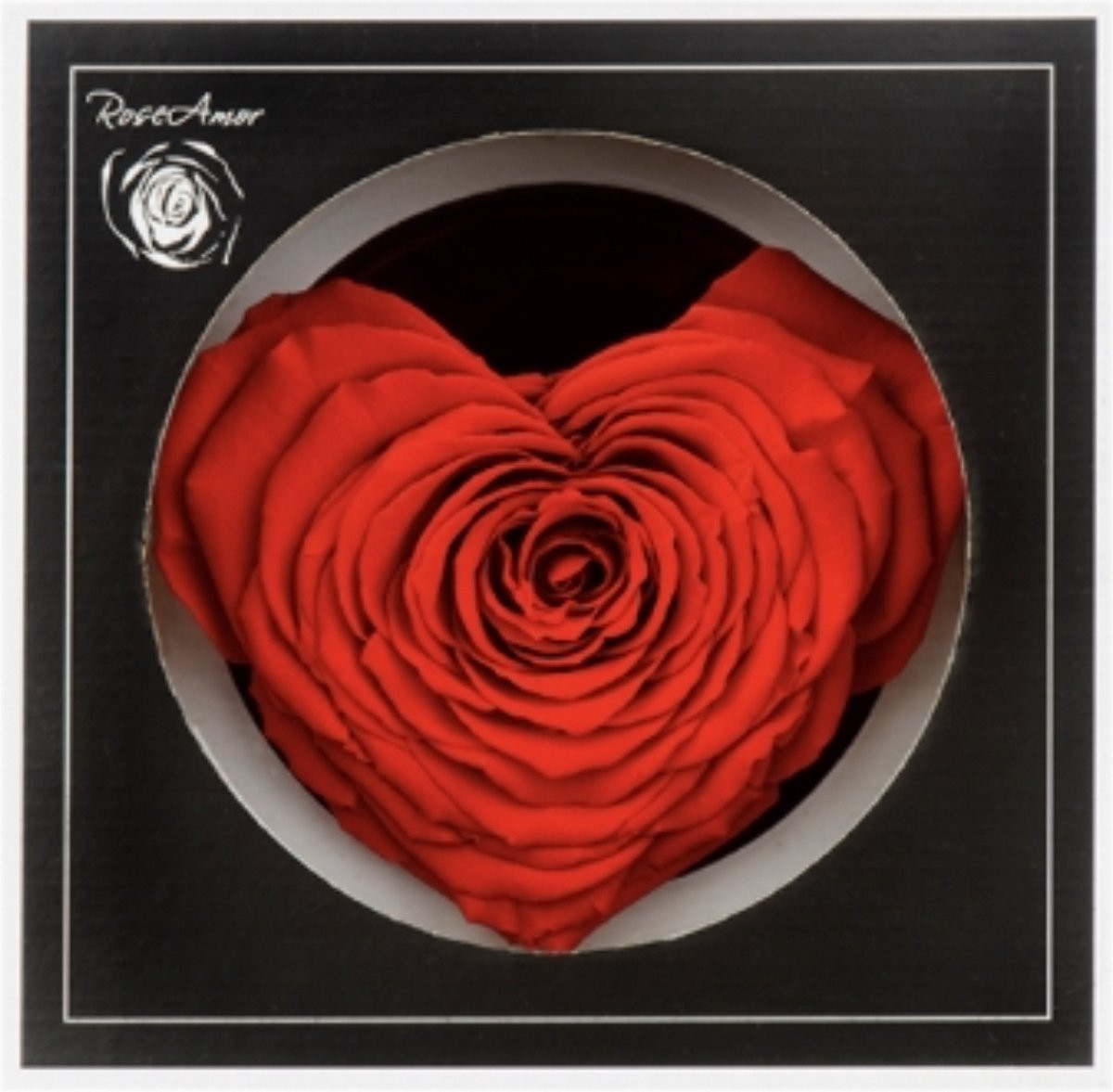 Echte Longlife Hartvormige Roos Rood in Luxe Giftbox