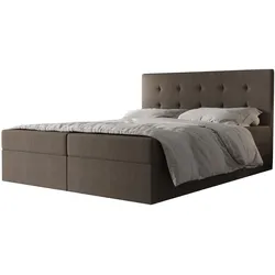 BOXBETT Dahlina 180/200 cm in Braun – mit Bettkasten und Luxus + TOPPER