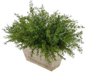 House of Silk Flowers Faux Asparagus Fern in Wood Mini Ledge Planter