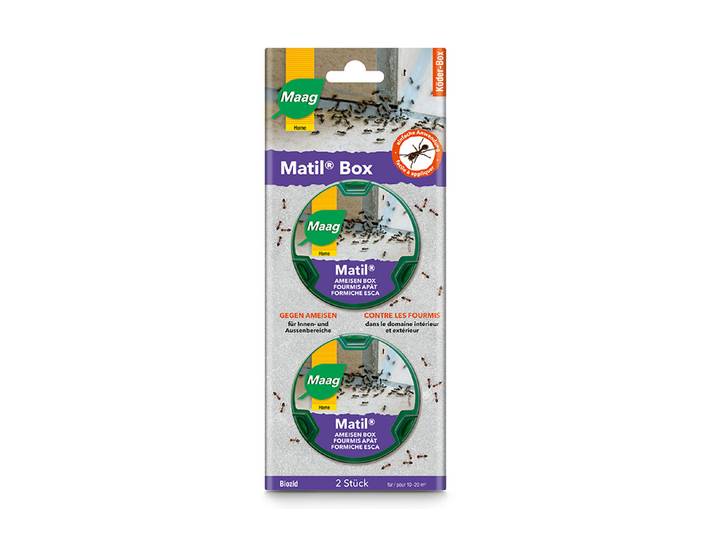 Maag Matil Ameisen Box 2 Stück