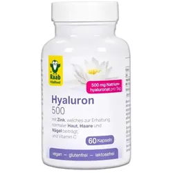 Raab Hyaluron 500 Kapseln (60St)