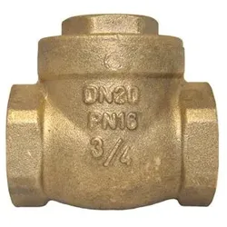 Rückschlagklappe mit Metalldichtung auf der Ventilklappe 3/4"
