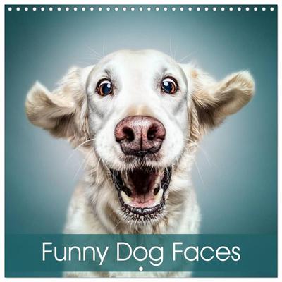 Funny Dog Faces (Wall Calendar 2027 12 × 12 Inch) CALVENDO 12 Month Wall Calendar