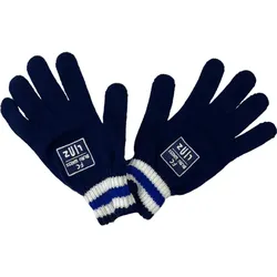 FC Blau-Weiß Linz Handschuhe - blau / ONE SIZE