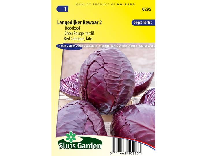 Rode kool zaden Langedijker bewaar 2