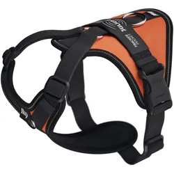 Julius-K9 K9 Longwalk light sele w/trackerpocket,UV Orange,XS (XS, Hund), Halsband + Leine