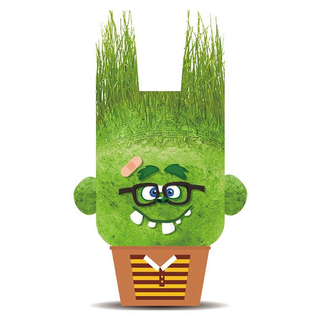Hape Plant Pals-Assured Monsters (848102)