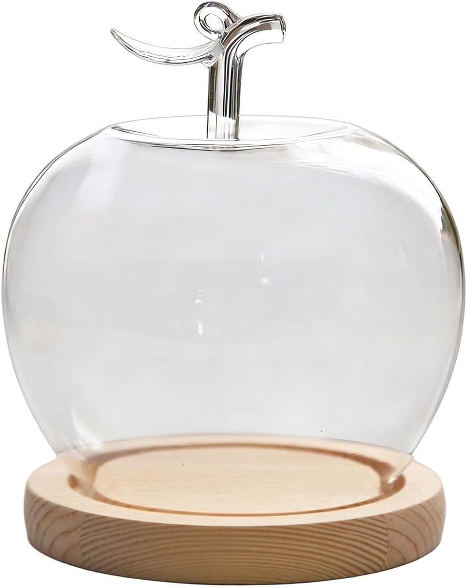Handgeblazen Glazen Cloche - Transparante Decoratie Koepel met Brede Basis