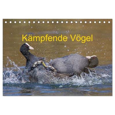 Kämpfende Vögel (Tischkalender 2027 DIN A5 quer), CALVENDO Monatskalender