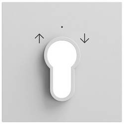 GIRA Schlüsselschalter/-taster Grau 066476 1 St.