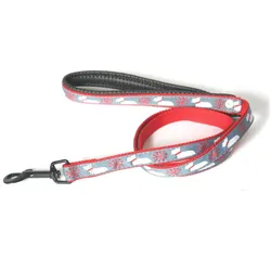 Martin Sellier Scott Snow (Hund, Spazieren), Halsband + Leine