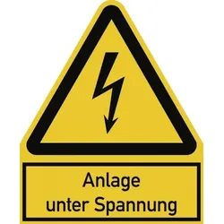 Anlage unter Spannung ISO 7010, Kombischild, Kunststoff, 200x244 mm