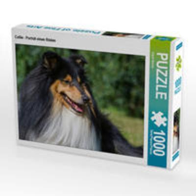 CALVENDO Puzzle Collie - Porträt eines Rüden | 1000 Teile Lege-Größe 64x48cm Foto-Puzzle für glückliche Stunden