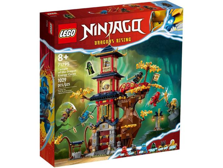 LEGO® LEGO® Ninjago 71795 Tempel der Drachenpower Konstruktionsspielsteine, (1029 St)