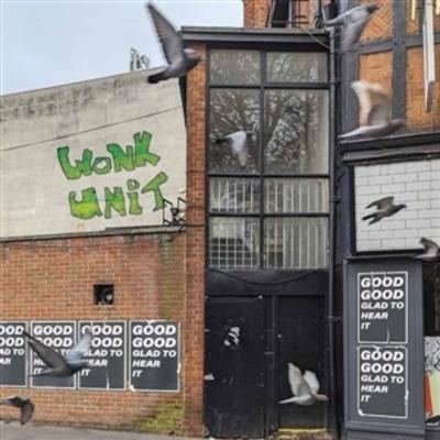 Good Good Glad to Hear it - Wonk Unit, Vinyl
