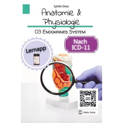Sybille Disse: Anatomie Physiologie Band 03: Endokrines Syst, Gebundene Ausgabe von Sybille Disse, Bookmundo Direct, 978-94-036-9135-0