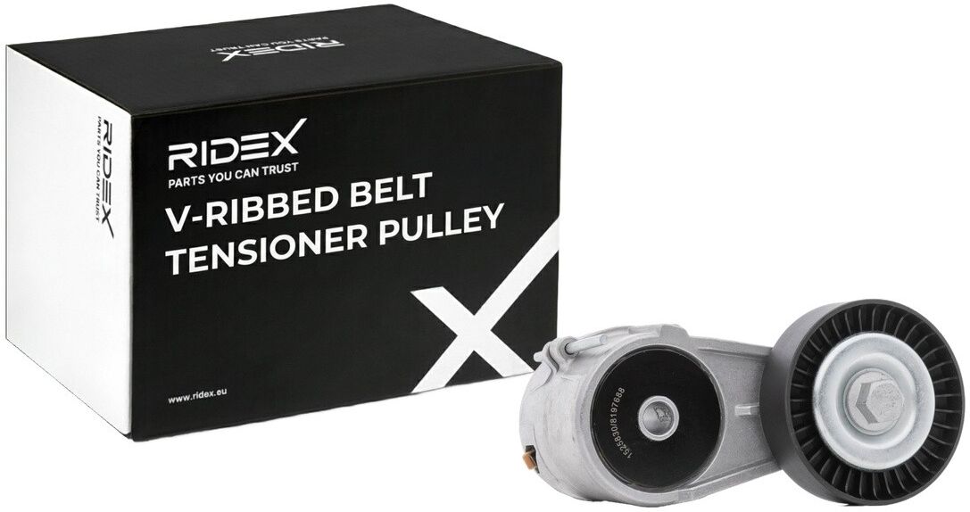 RIDEX 310T0025 Tensioner pulley