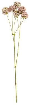 Saro Lifestyle "Scabiosa Pods Floral Accent (Set of 12) - Pink - 26"""
