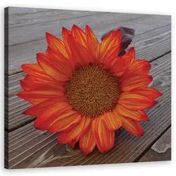 WANDBILD orangefarbene sonnenblume