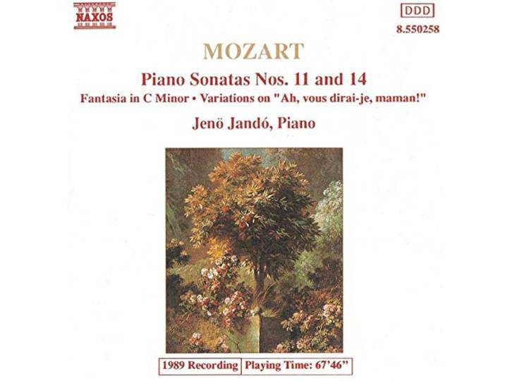 Jeno Jando - Piano Sonatas/Fantasia/Variations