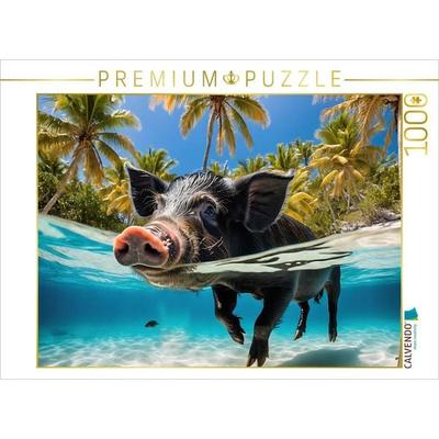 CALVENDO Puzzle Schwarzes Schwein schwimmt im türkisblauen Wasser der Karibik | 1000 Teile Lege-Größe 64x48cm Foto-Puzzle für glückliche Stunden,