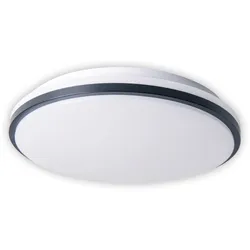 Näve LED Deckenleuchte "IRVINE"
