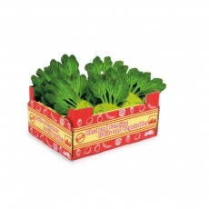 small foot Stiege - Kohlrabi 288133