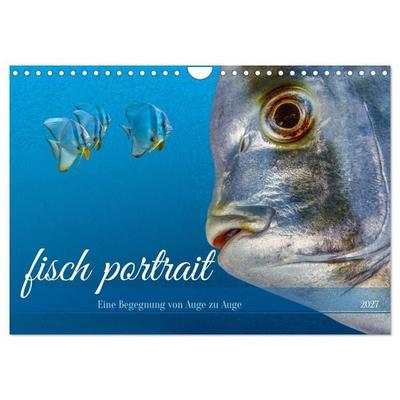 fisch portrait (Wandkalender 2027 DIN A4 quer), CALVENDO Monatskalender