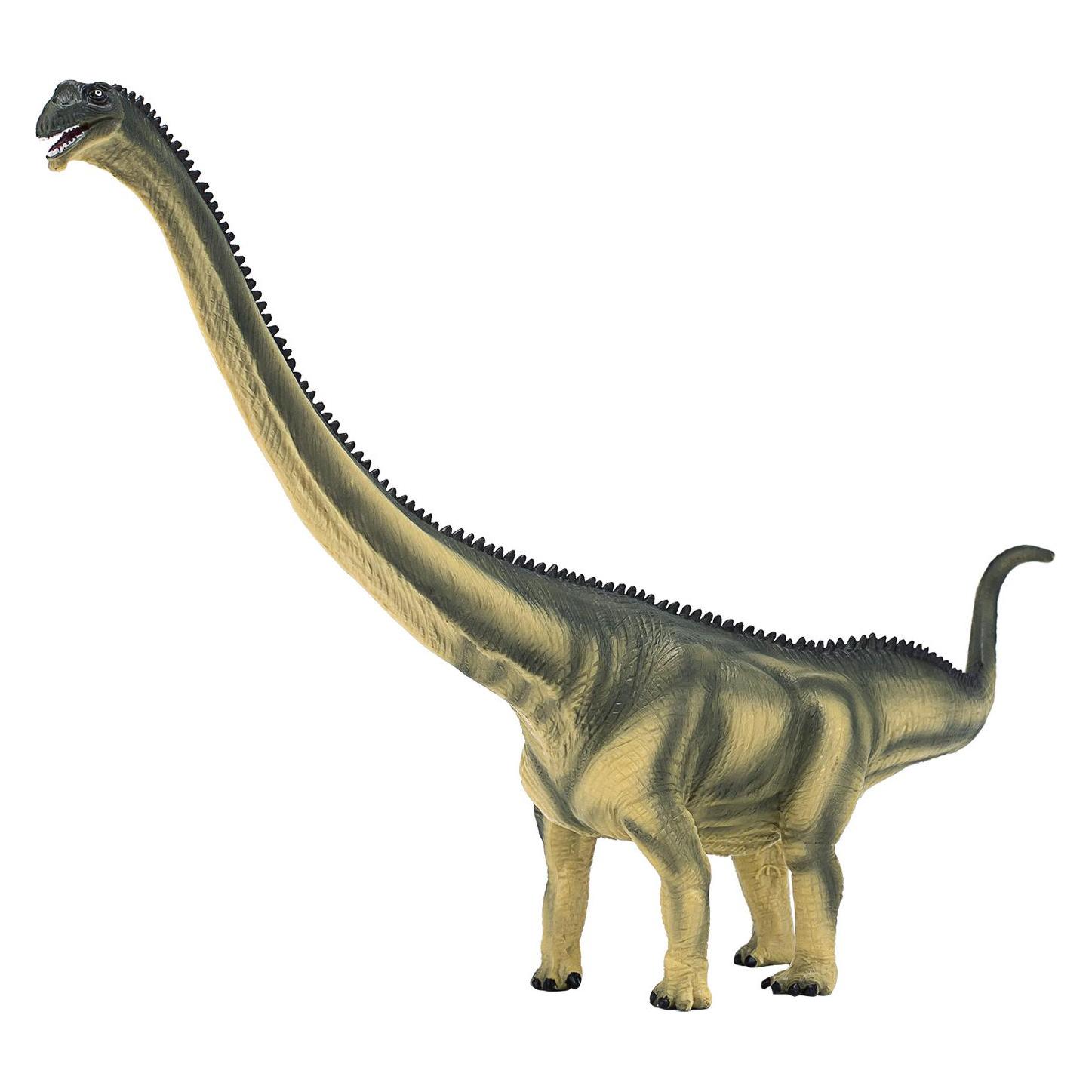 small foot Mamenchisaurus (MJ-387387)