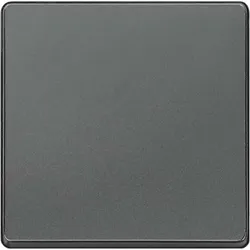 Siemens 5TG6221 DELTA i-system carbon- metallic Wippe neutral