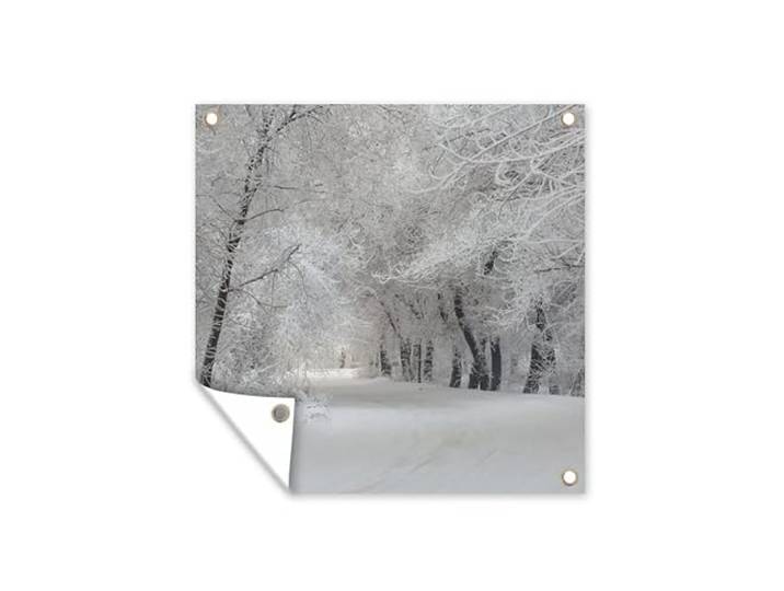 Tuinposter - 200x200 cm - Bomen - Sneeuw - Winter