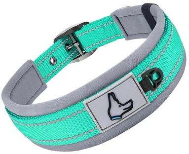 Inspired Living ComfortFit Reflective Padded Dog Collar blue Green m