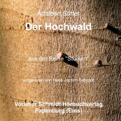 Der Hochwald - Adalbert Stifter, Audio, 9783941324084