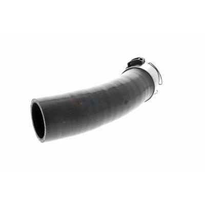 VAICO Ladeluftschlauch Original Qualität V46-1198 für RENAULT