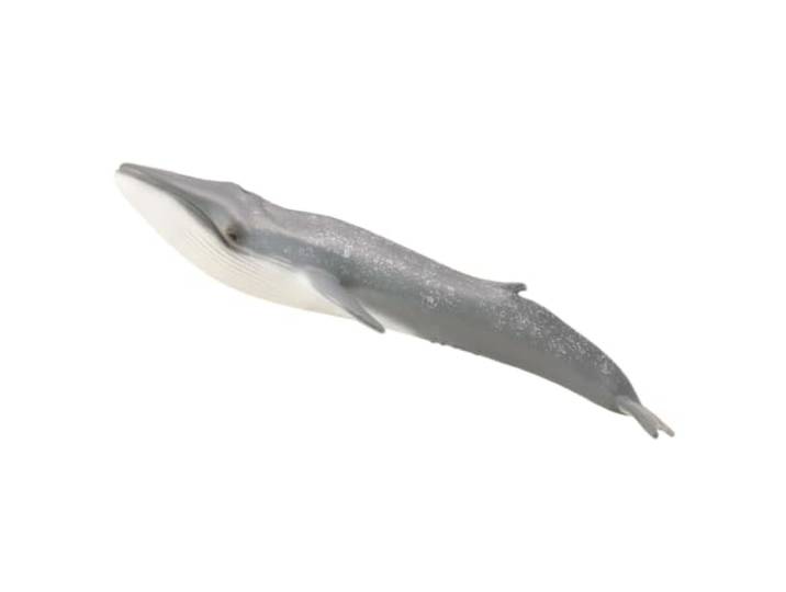 Collecta Blauwvis - XL - 88834 (90188834)