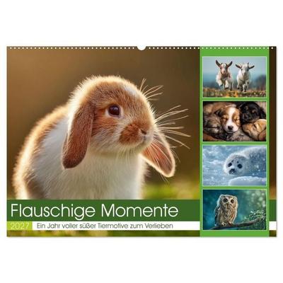 Flauschige Momente (Wandkalender 2027 DIN A2 quer), CALVENDO Monatskalender