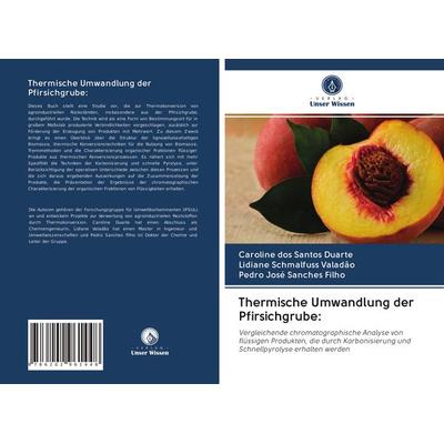 Thermische Umwandlung der Pfirsichgrube:, Taschenbuch von Caroline dos Santos Duarte,Lidiane Schmalfuss Valadão,Pedro José Sanches Filho, Verlag Unser