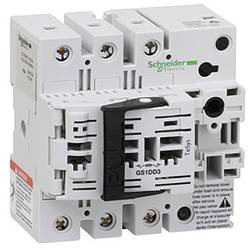 Schneider Electric GS1DD3 Sockel, Trennschalter 1 St. Piece
