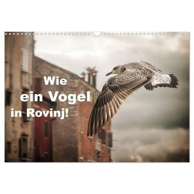Wie ein Vogel in Rovinj! (Wandkalender 2027 DIN A3 quer), CALVENDO Monatskalender
